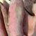 【推荐】河北省大名县沙土地西瓜红红薯批发，电商货都有