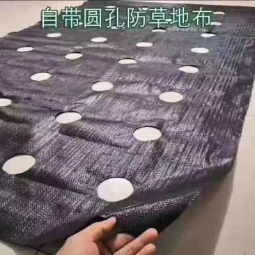 打孔防草布，抗老化耐用，厂家生产，源头发货，