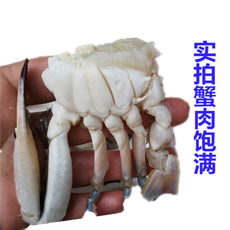 梭子蟹10斤/箱约包邮鲜活冷冻蟹飞蟹公蟹母蟹香辣蟹。