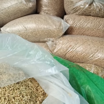 常年现金上门回收四季花，北花金银花干花，推广苗木回收干花