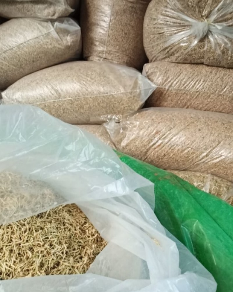 常年现金上门回收四季花，北花金银花干花，推广苗木回收干花