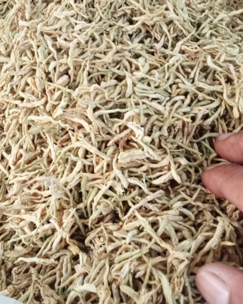常年现金上门回收四季花，北花金银花干花，推广苗木回收干花