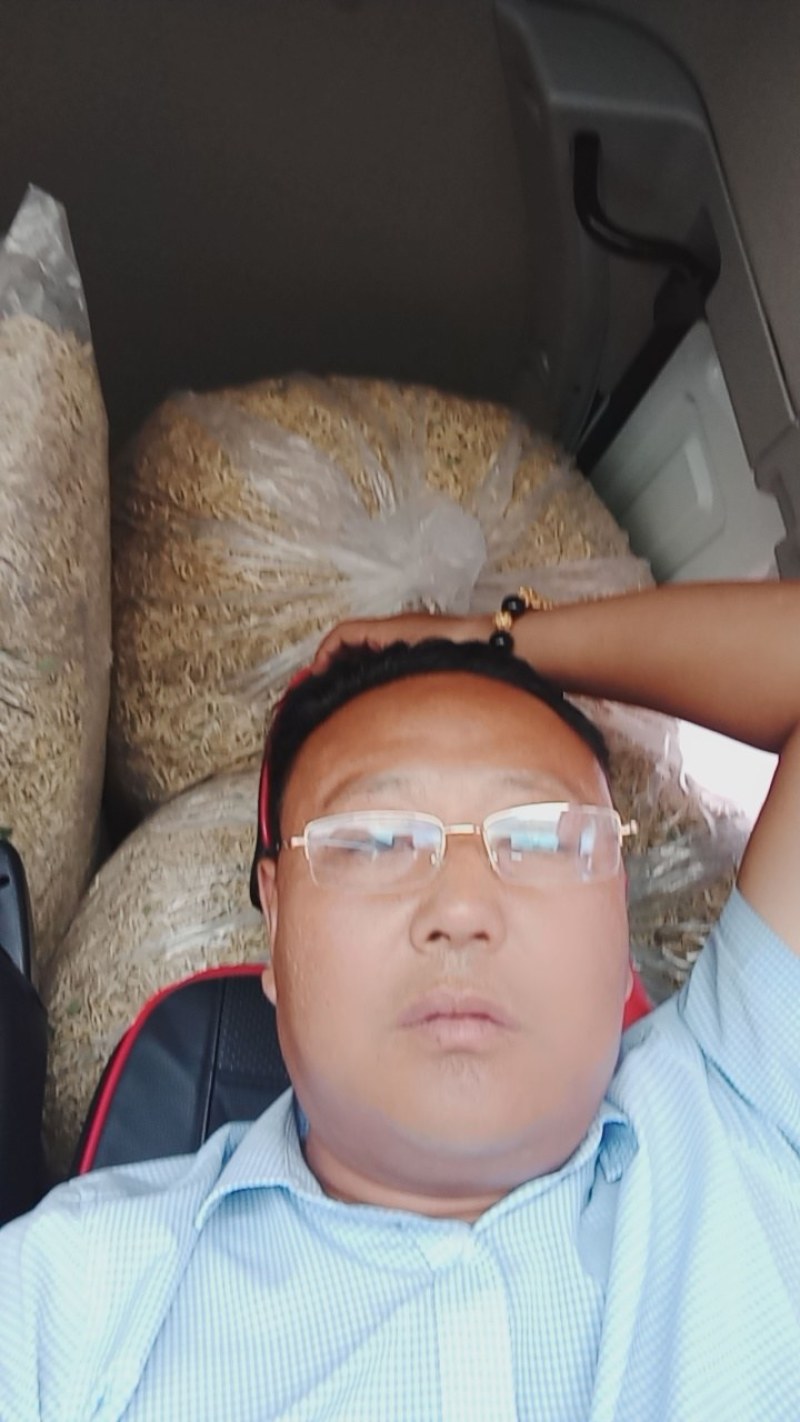 常年现金上门回收四季花，北花金银花干花，推广苗木回收干花