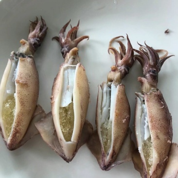 单冻籽乌