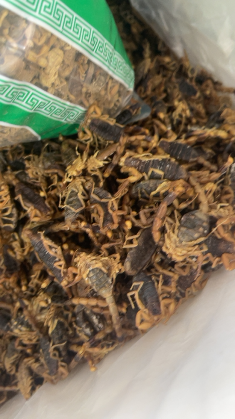 中药材全虫蝎子批发包邮
