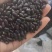 小黑豆黄仁肾型扁粒颗粒饱满乌发益肾9斤起批散货