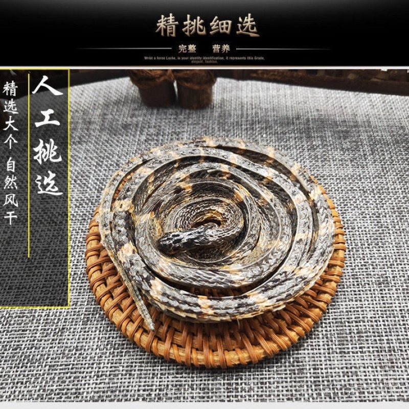 白花蛇大条百花蛇白花蛇各规格齐全包邮