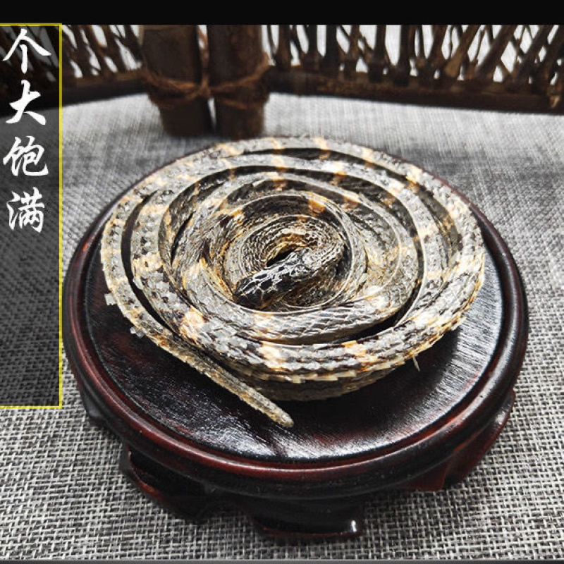 白花蛇大条百花蛇白花蛇各规格齐全包邮