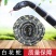白花蛇大条百花蛇白花蛇各规格齐全包邮