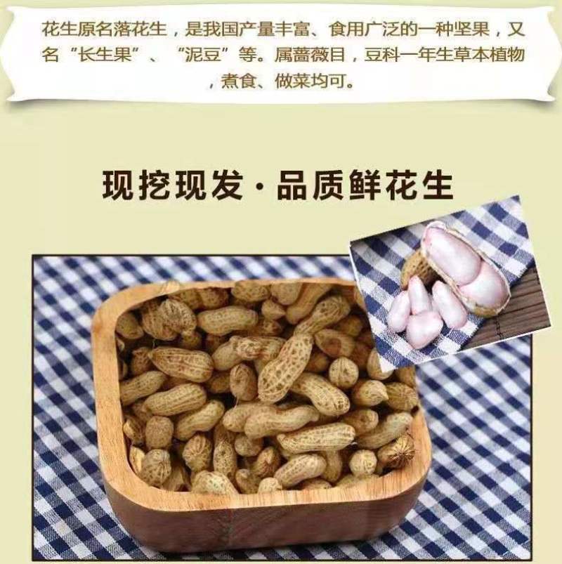 正宗东北新花生湿花生自家现抜现摘带壳花生可水煮烀花生