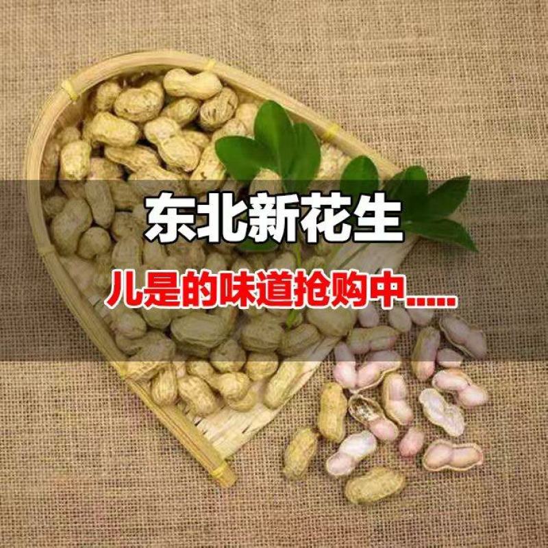 正宗东北新花生湿花生自家现抜现摘带壳花生可水煮烀花生