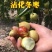 特大枣树苗嫁接沾化冬枣树苗地栽盆栽四季种植当年结果脆甜枣
