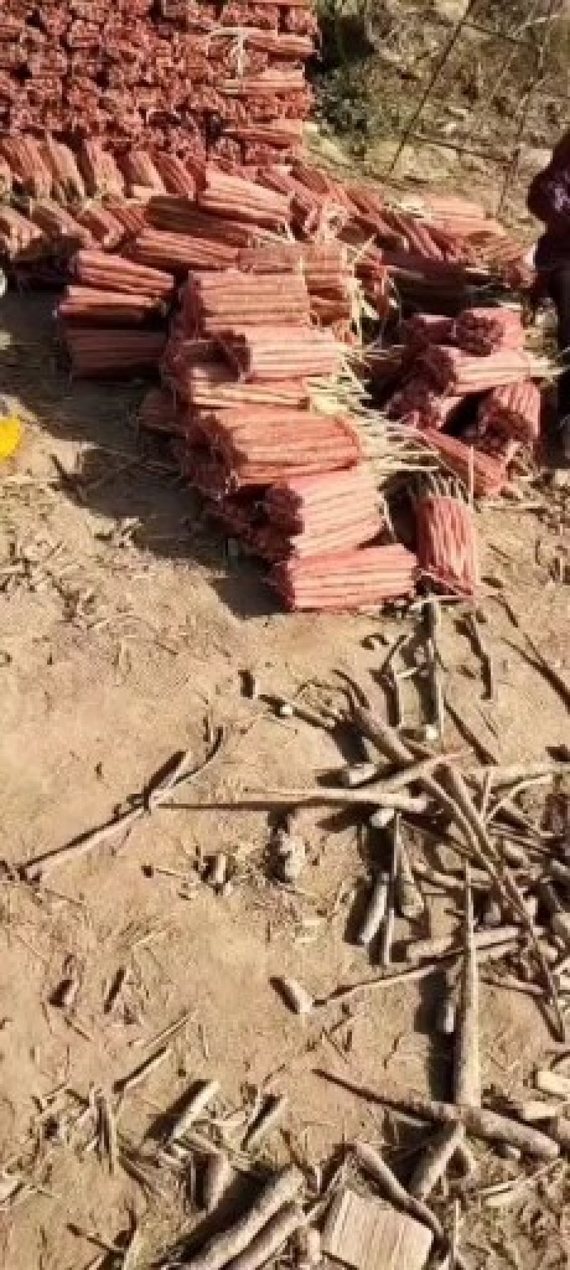 【山药】四川铁棍山药口感软糯一手货源量大价优代发全国