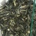 出售优质黄骨鱼苗大小规格品种齐全价格优惠，全国送货上门免