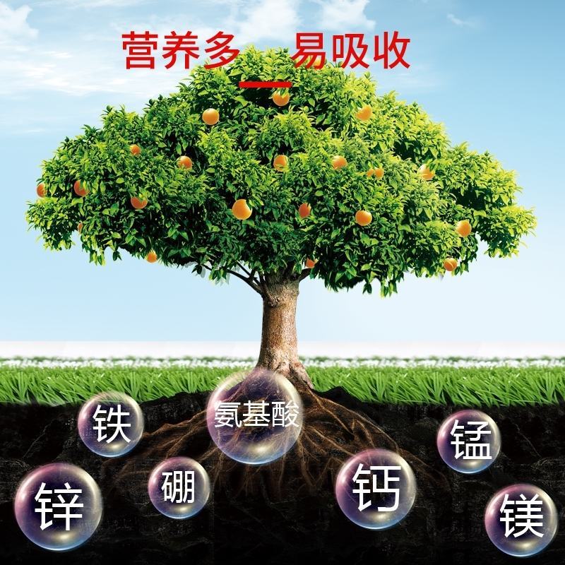 氨基酸生根含营养液壮苗剂农用蔬菜花卉植物叶面肥水溶肥