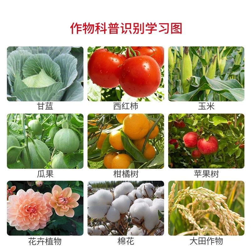 氨基酸生根含营养液壮苗剂农用蔬菜花卉植物叶面肥水溶肥