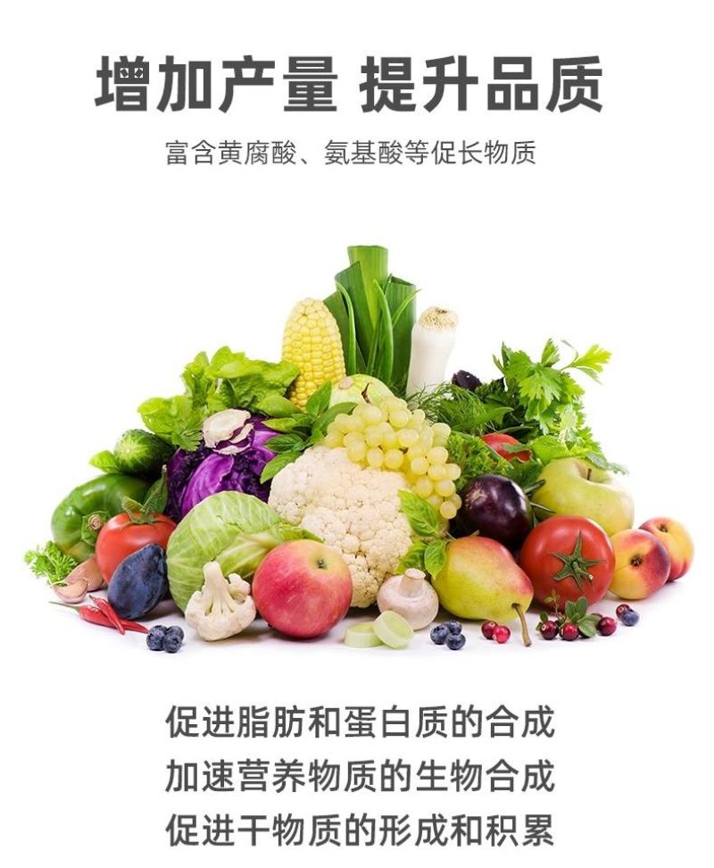 氨基酸生根含营养液壮苗剂农用蔬菜花卉植物叶面肥水溶肥