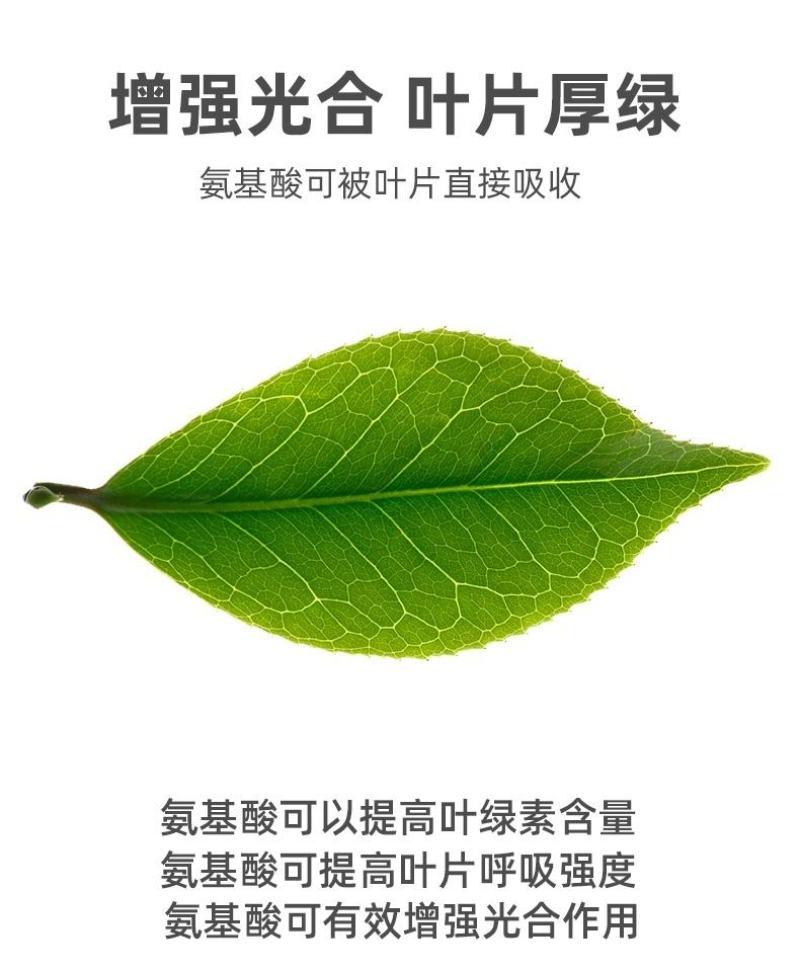 氨基酸生根含营养液壮苗剂农用蔬菜花卉植物叶面肥水溶肥