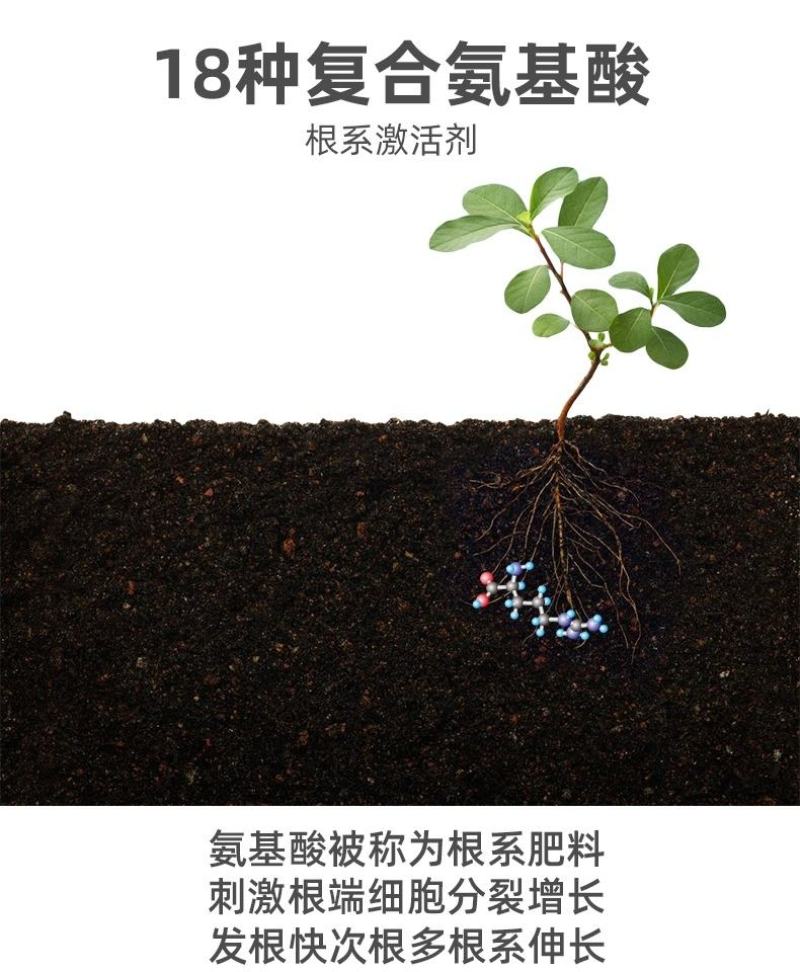 氨基酸生根含营养液壮苗剂农用蔬菜花卉植物叶面肥水溶肥
