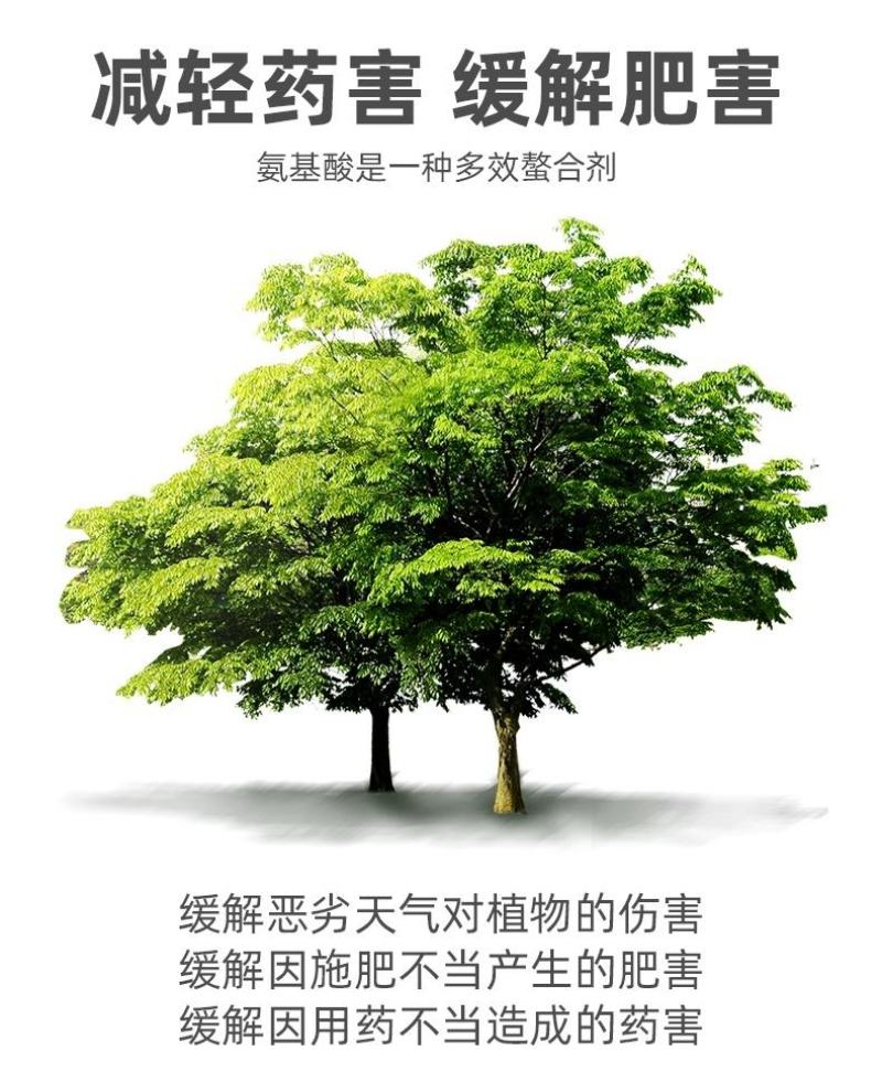 氨基酸生根含营养液壮苗剂农用蔬菜花卉植物叶面肥水溶肥
