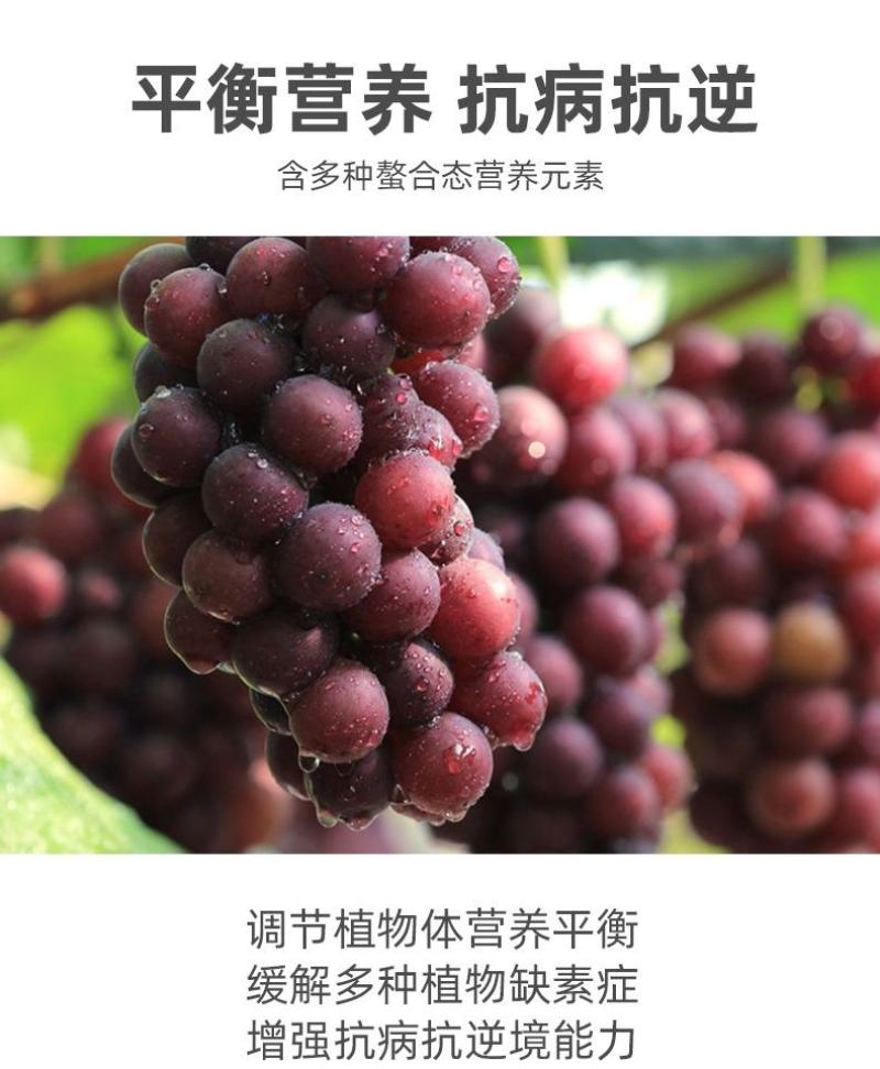 氨基酸生根含营养液壮苗剂农用蔬菜花卉植物叶面肥水溶肥