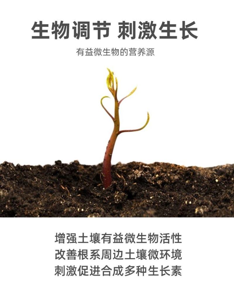 氨基酸生根含营养液壮苗剂农用蔬菜花卉植物叶面肥水溶肥