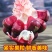 一件代发顺丰包邮黑老虎水果新鲜恶魔果布福娜酒饭团
