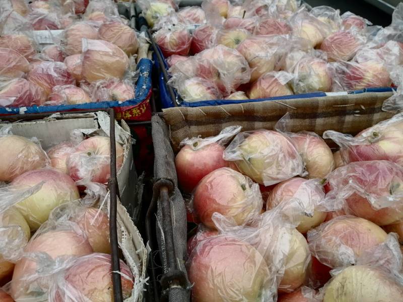 安徽膜袋嘎啦苹果持续收购中！脆甜可口货源充足