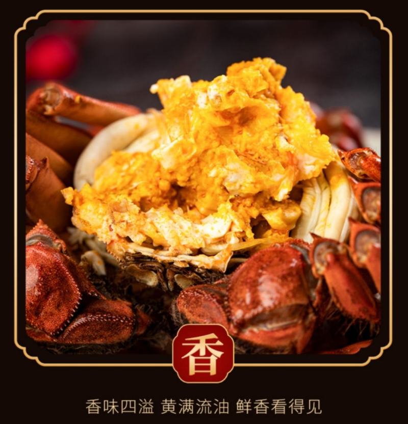 现货苏州阳澄湖镇大闸蟹10只装礼盒装【团购代理顺丰发货】