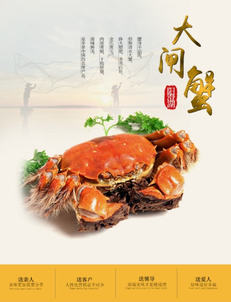 现货苏州阳澄湖镇大闸蟹10只装礼盒装【团购代理顺丰发货】
