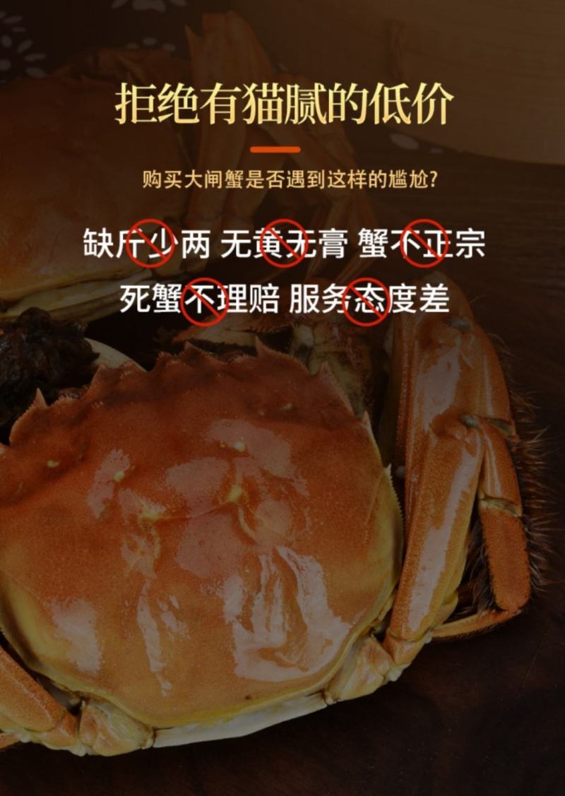 阳澄湖大闸蟹企业团购亲朋好友送礼佳品顺丰10只装包邮