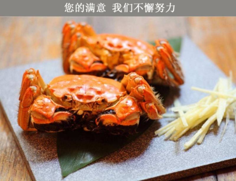 阳澄湖大闸蟹企业团购亲朋好友送礼佳品顺丰10只装包邮