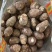 芋头山东8520芋头大量批发电商商超供货大中小球