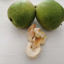 核桃