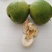 核桃