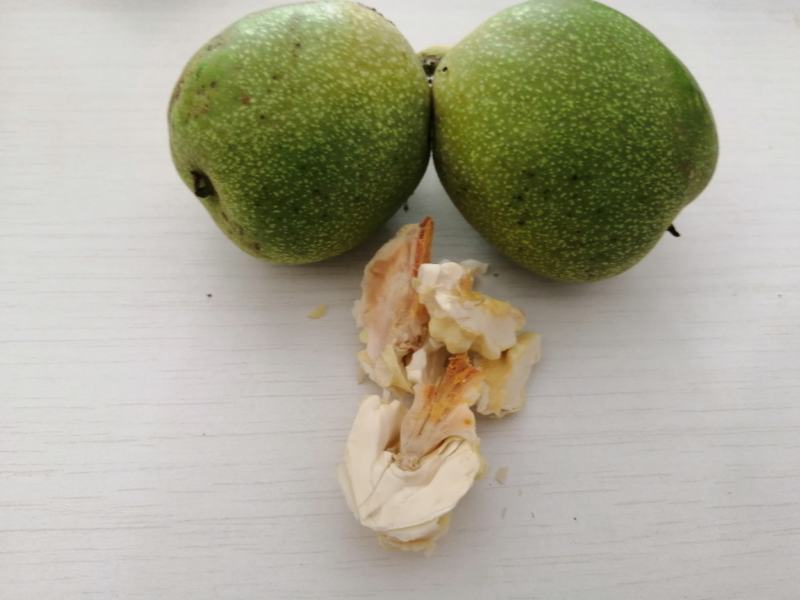 核桃