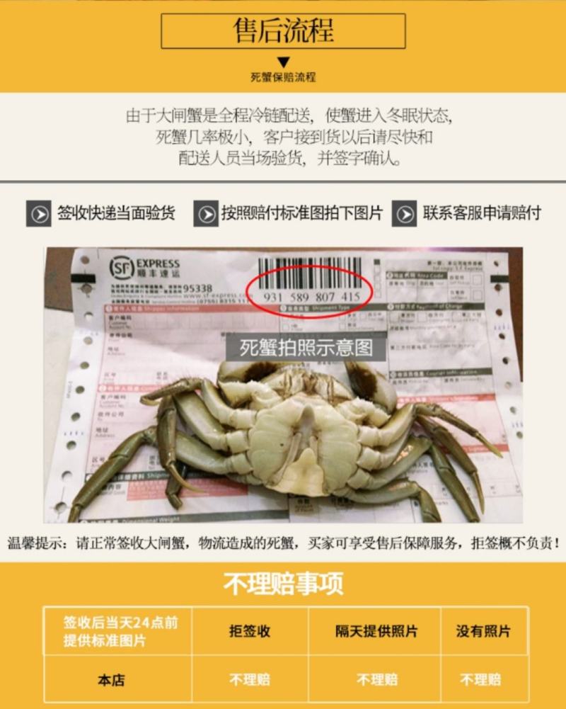 团购阳澄湖大闸蟹大闸蟹鲜活螃蟹单只全公母蟹礼盒8只