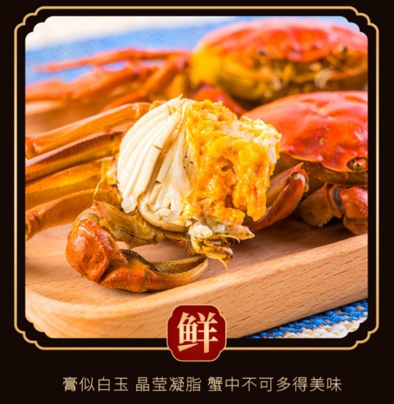团购阳澄湖大闸蟹大闸蟹鲜活螃蟹单只全公母蟹礼盒8只