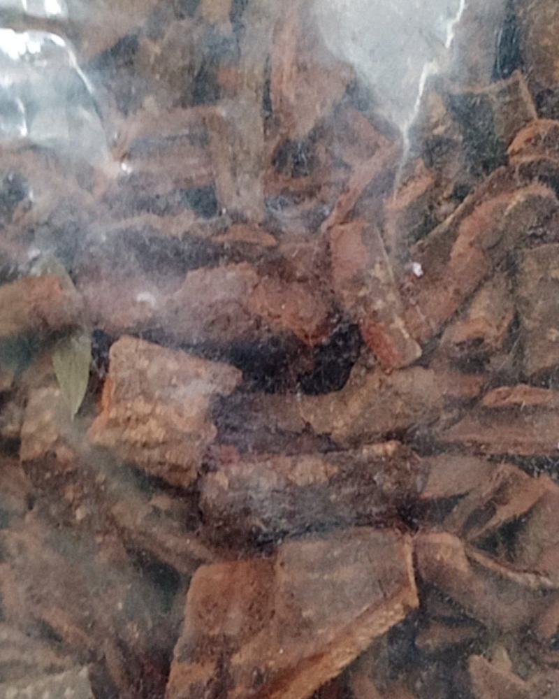 红杜仲，常年批发供应冷背中药材红杜仲，量大从优