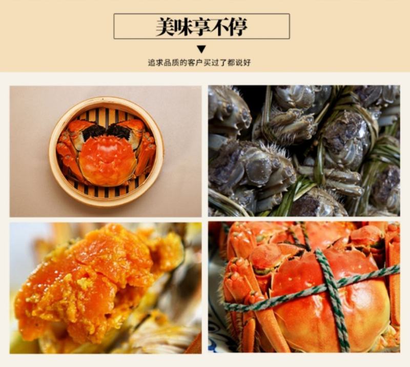 江苏阳澄湖大闸蟹大闸蟹礼盒8只装【顺丰包邮】