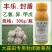 丰乐封盾乙氧异甲戊大蒜专用封闭药大蒜地封闭除草剂封草籽药