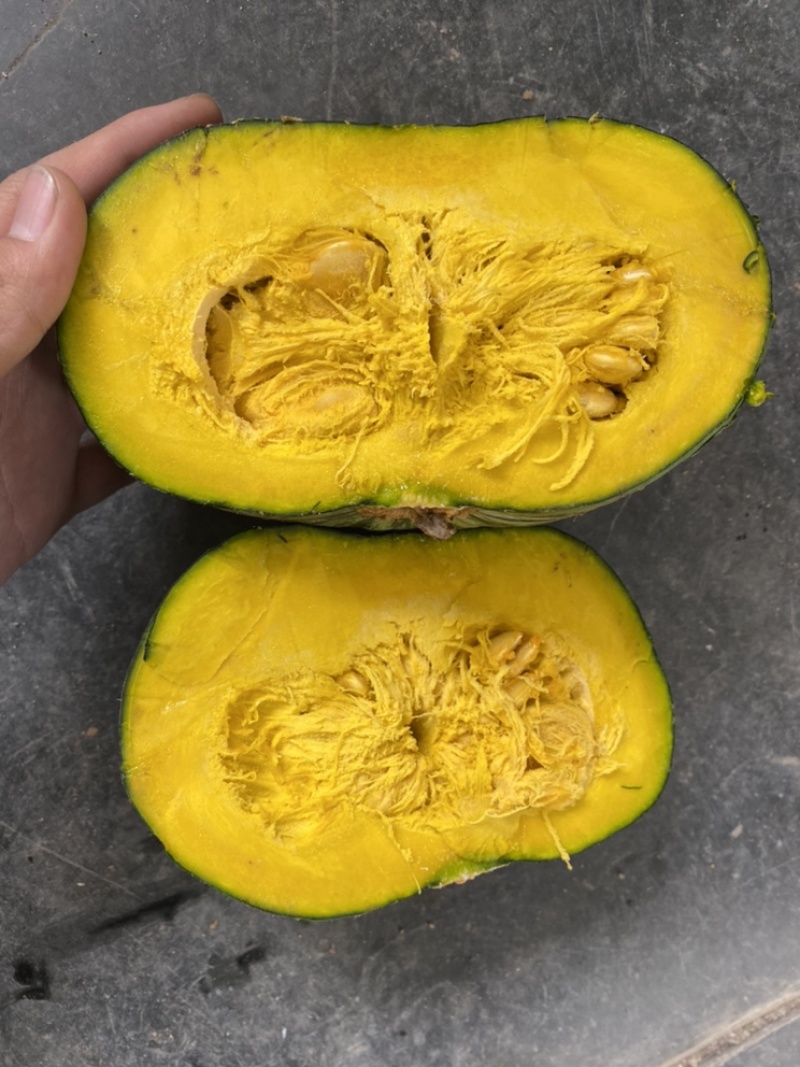 板栗南瓜，美国二号品种，量大货好，马上可出