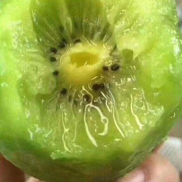 绿心猕猴桃