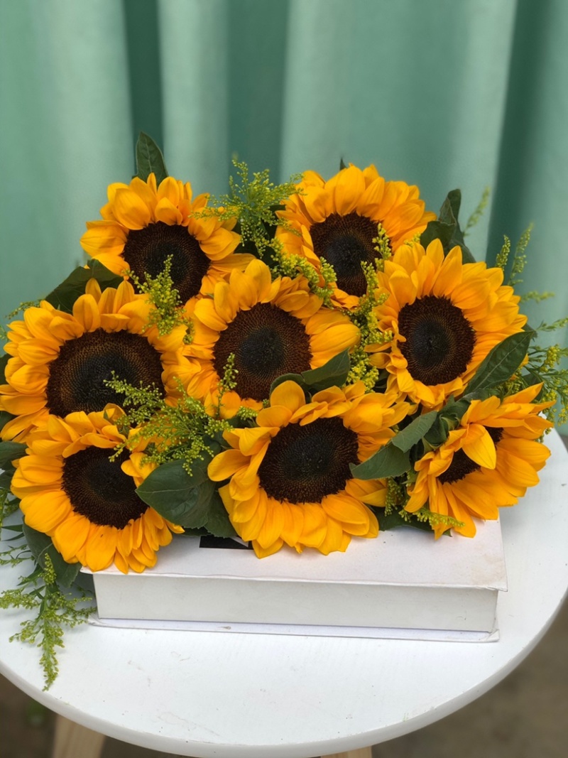 包邮一件代发向日葵鲜切花中花鲜花批发云南鲜花基地