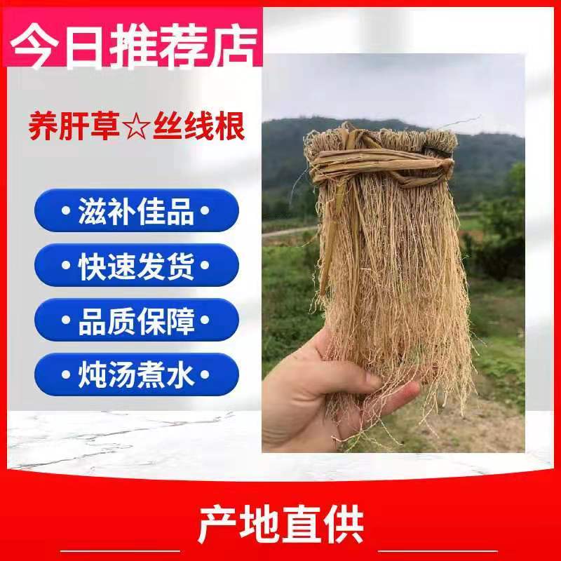 养肝草丝线根产地直销一手货源50扎起包邮粤北煲汤料