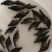 鳜鱼苗(桂花鱼)淡水鱼类分部区域广个大体