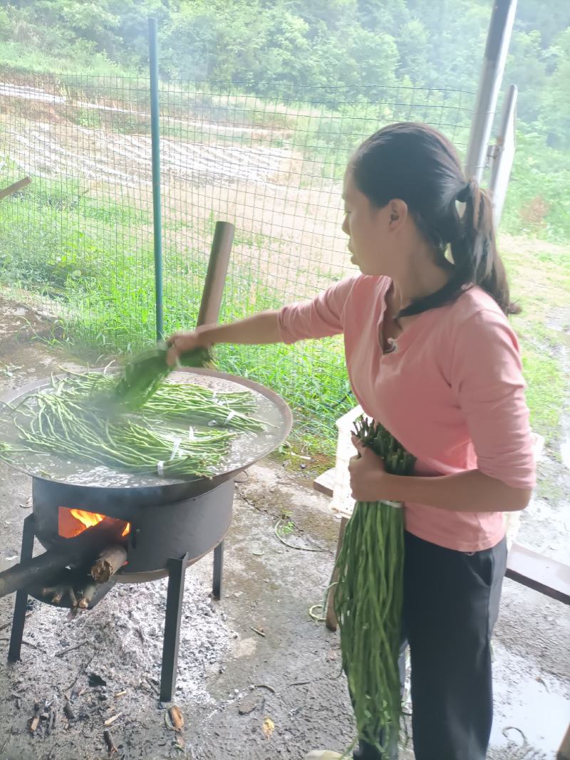 重庆干豆角发全国