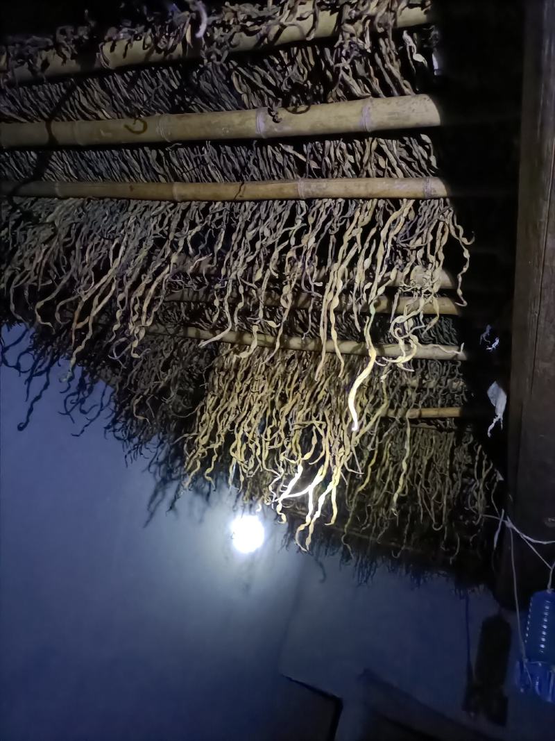 重庆干豆角发全国