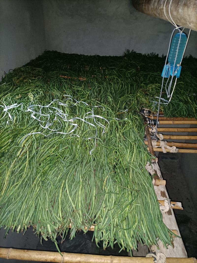 重庆干豆角发全国