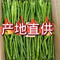 高山辣椒精品二荆条，产自于湖北恩施利川，也称之为富硒辣椒
